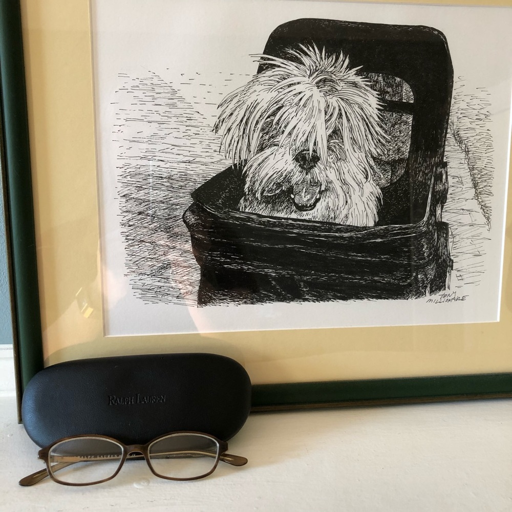 Ralph Lauren Eyeglass Frames